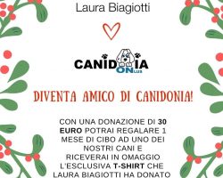 Canidonia-Onlus-Guidonia (2)